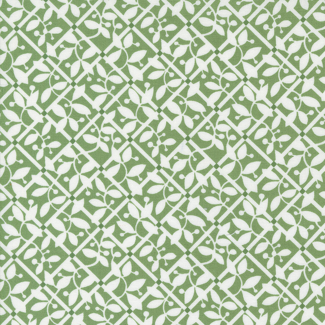 Shoreline Green 55303 15