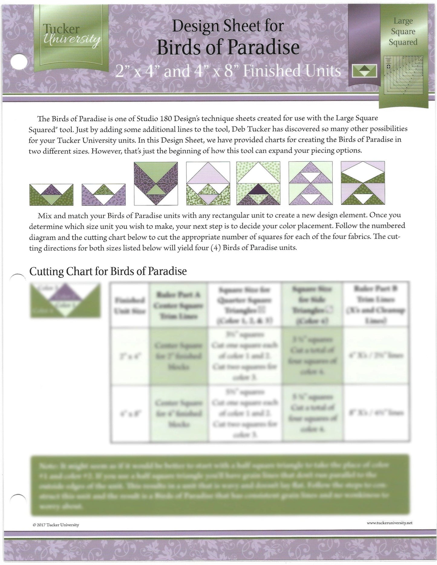 Tucker University Sophomore Year Birds of Paradise Design sheet (Class 2-101)