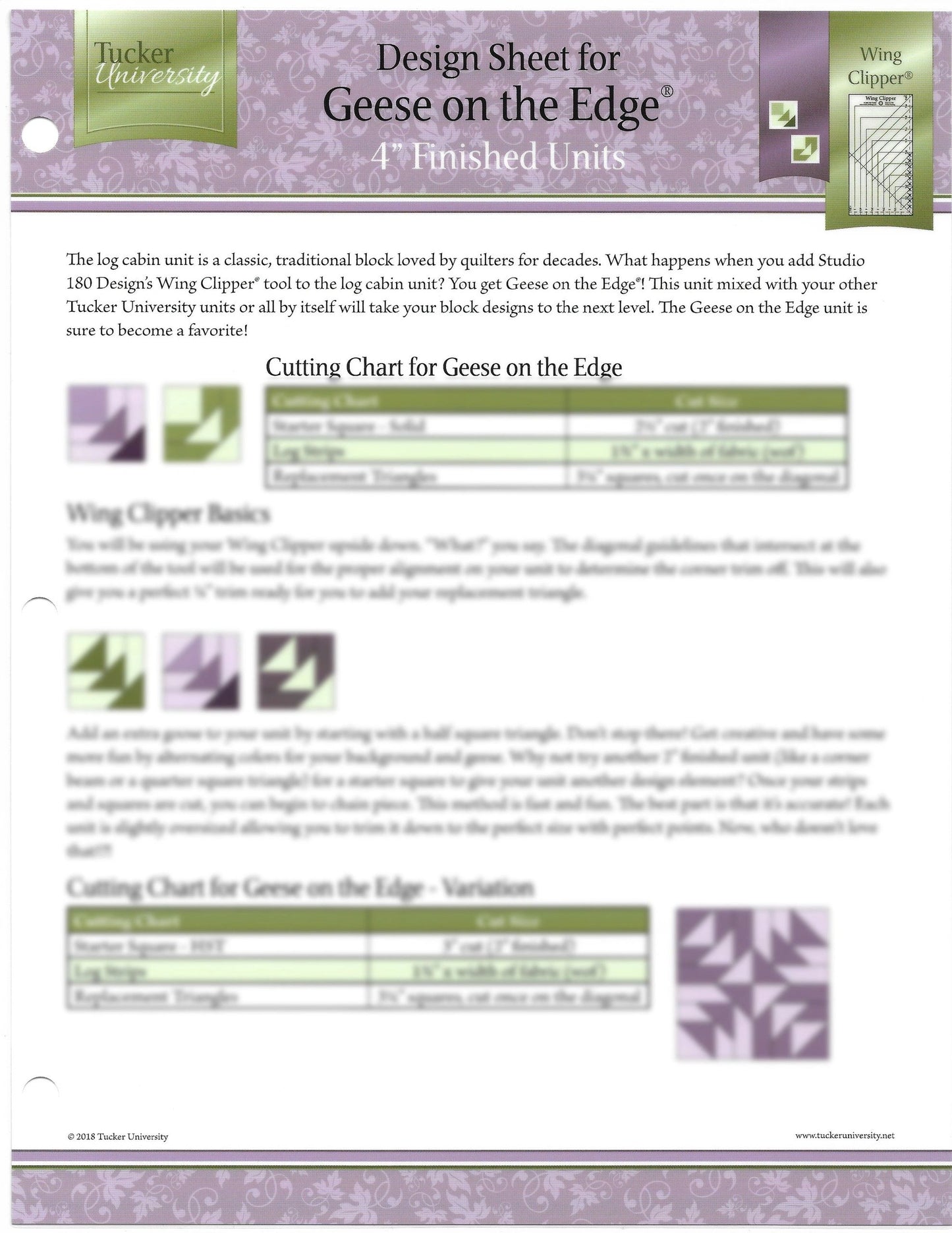 Tucker University Sophomore Year Geese on the Edge Design sheet (Class 2-601)