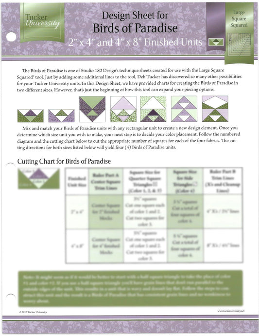 Tucker University Sophomore Year Birds of Paradise Design sheet (Class 2-101)